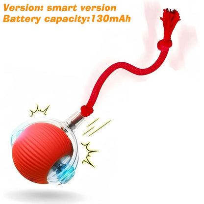 CrazyRoll Smart Ball Toy for Cats & Small Dogs