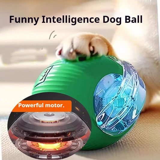 CrazyRoll Smart Ball Toy for Cats & Small Dogs