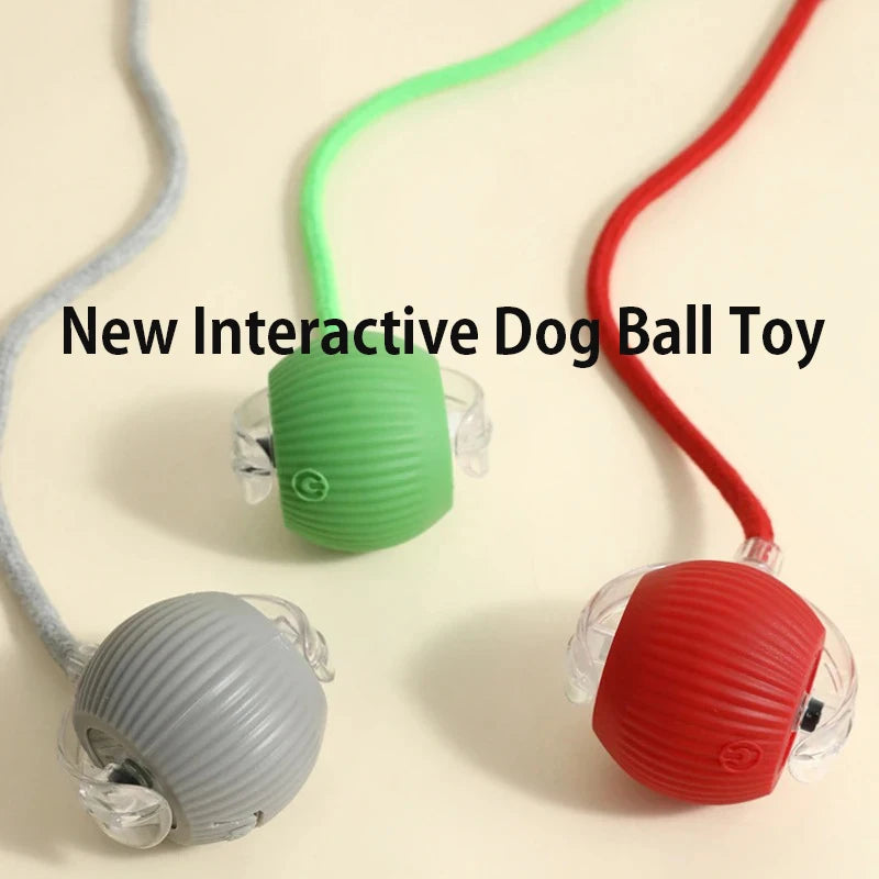 CrazyRoll Smart Ball Toy for Cats & Small Dogs