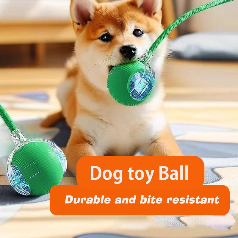 CrazyRoll Smart Ball Toy for Cats & Small Dogs