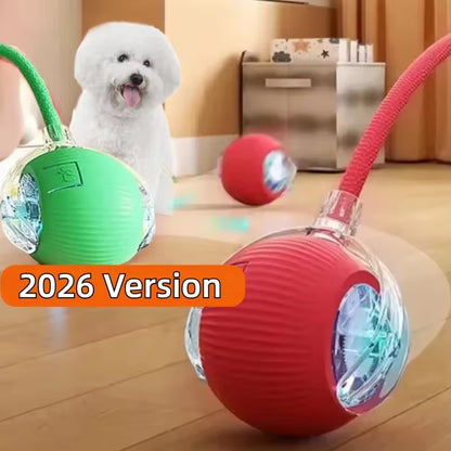 CrazyRoll Smart Ball Toy for Cats & Small Dogs